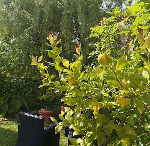 アパート O Lar De *